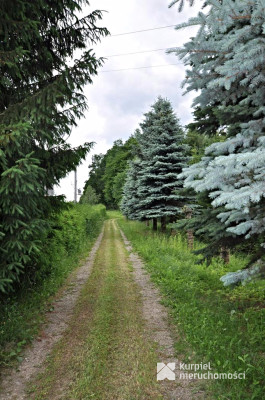 Działka na sprzedaż o pow. 136 900,00 m2