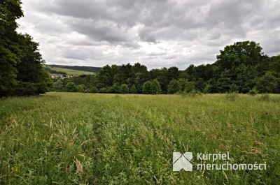 Działka na sprzedaż o pow. 136 900,00 m2