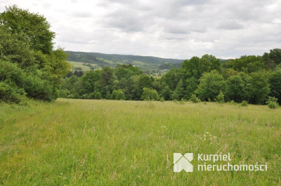 Działka na sprzedaż o pow. 136 900,00 m2