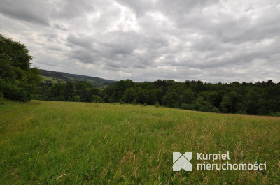 Działka na sprzedaż o pow. 136 900,00 m2