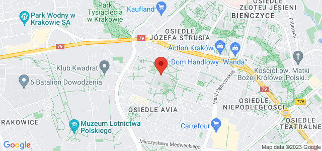 Kraków lokal do wynajęcia, pow. 100 m2