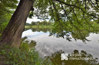 KRASICE- działka rekreacyjna na sprzedaż 9,69 ara