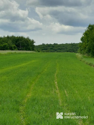 Działki rolne w Węgierce, gmina Roźwienica