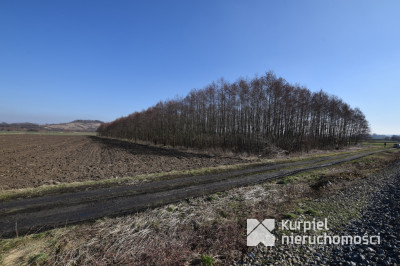 DZIAŁKA LEŚNA 1,37 ha - na sprzedaż