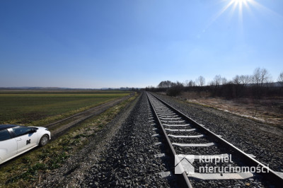 DZIAŁKA LEŚNA 1,37 ha - na sprzedaż