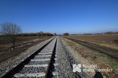 DZIAŁKA LEŚNA 1,37 ha - na sprzedaż