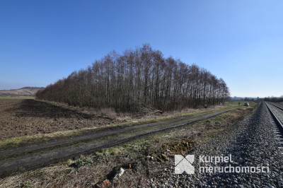 DZIAŁKA LEŚNA 1,37 ha - na sprzedaż