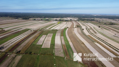 CEWKÓW - działka rolno-leśna 30 arów