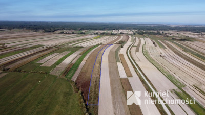 CEWKÓW - działka rolna 1,02 ha