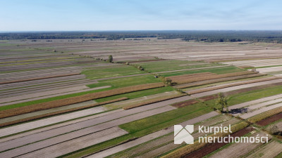 CEWKÓW - działka rolna 1,02 ha