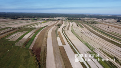 CEWKÓW - działka rolna 35 arów