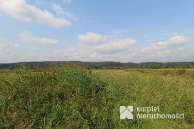 Działka na sprzedaż o pow. 6 000,00 m2