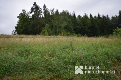 Wara- działka rolna 18 arów w pobliżu lasu