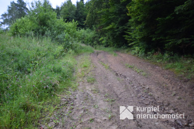 Wara- działka rolna 18 arów w pobliżu lasu