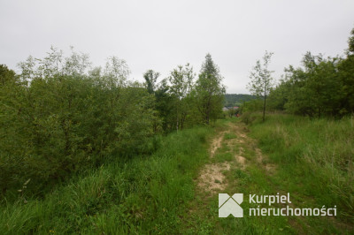 Przysietnica - działka rolna 18 arów