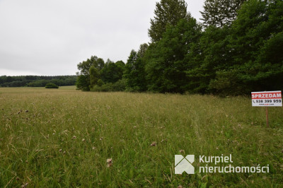 WOLA NIŻNA  działka rolna o pow. 20 arów