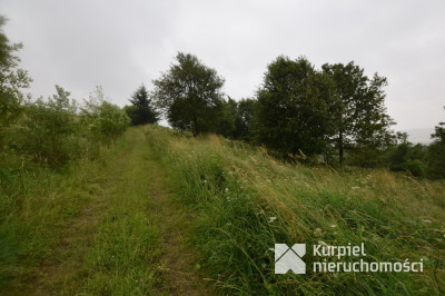 Morochów- działka pod zabudowę o pow. 7,42 ara