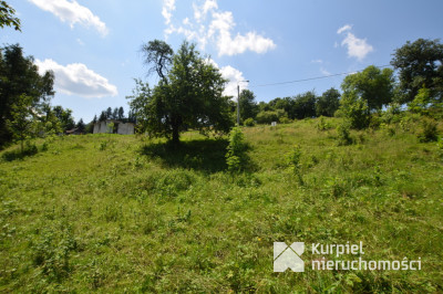 HOŁUCZKÓW- działka pod zabudowę o pow. 8 arów