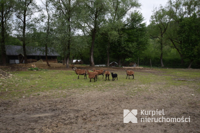 Posada Rybotycka - działki rekreacyjna 21 arów