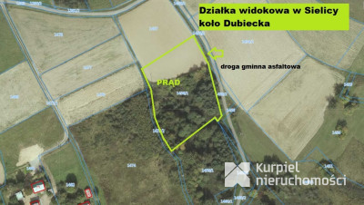 SIELNICA koło DUBIECKA sprzedam działkę 46 arów