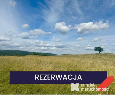 Działka rolna Makowa Pogórze Przemyskie