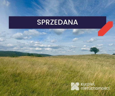 Działka rolna Makowa Pogórze Przemyskie