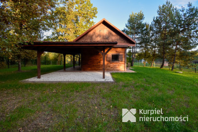 Leśna Oaza Spokoju – Wypoczynek Blisko Natury