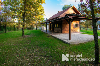 Leśna Oaza Spokoju – Wypoczynek Blisko Natury