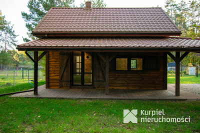 Leśna Oaza Spokoju – Wypoczynek Blisko Natury