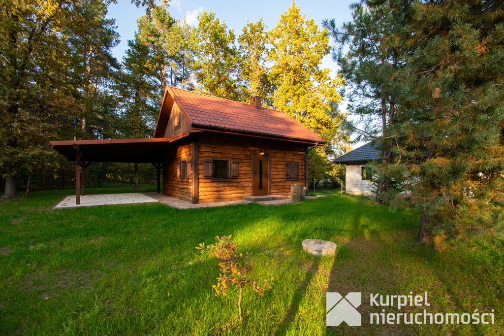 Leśna Oaza Spokoju – Wypoczynek Blisko Natury