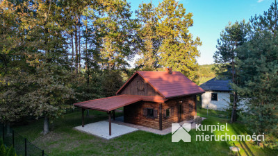 Leśna Oaza Spokoju – Wypoczynek Blisko Natury