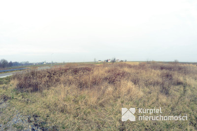 Na sprzedaż: dom z działką rolną /Zmach,g. Obsza/