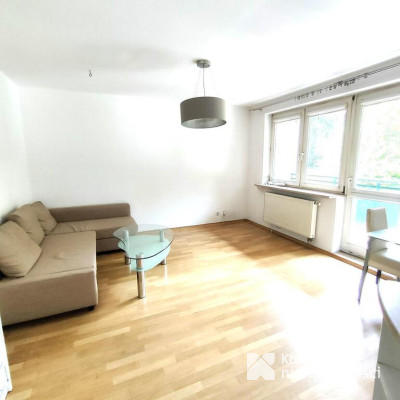 Salwator do wynajęcia 2 pokojowe 43 m2