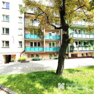 Salwator do wynajęcia 2 pokojowe 43 m2