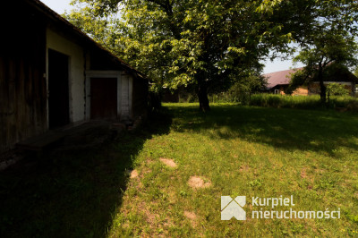 Duża działka z drewnianym domkiem i budynkiem gosp