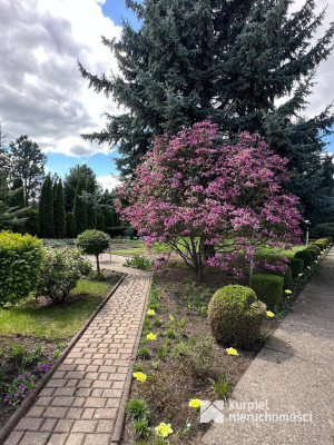 Rodzinny dom na ładnej działce Orły k/Przemyśla