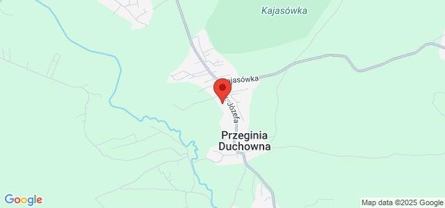 Komfortowy nowy dom w zielonej okolicy