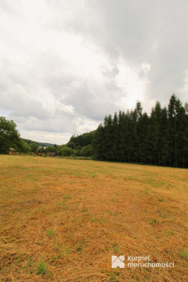 Dom z duszą w sercu natury /Łętowiana/