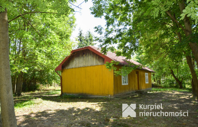 Drewniany dom z klimatem na dużej działce