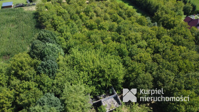 Drewniany dom z klimatem na dużej działce