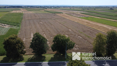 Działka 1,6 ha z WZ – budownictwo mieszkaniowe i u