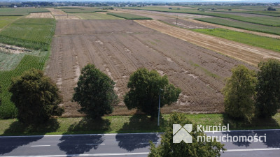 Działka 1,6 ha z WZ – budownictwo mieszkaniowe i u