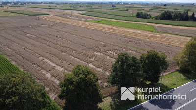 Działka 1,6 ha z WZ – budownictwo mieszkaniowe i u