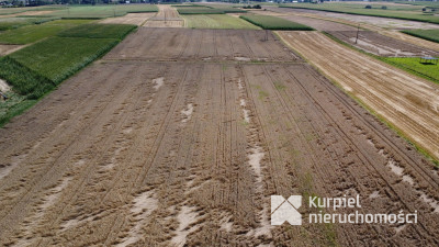 Działka 1,6 ha z WZ – budownictwo mieszkaniowe i u