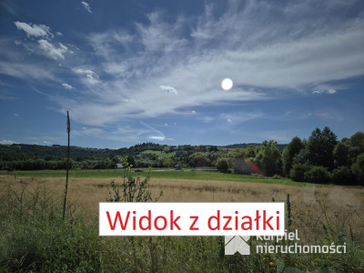 Działka rolna Gruszowa gmina Fredropol