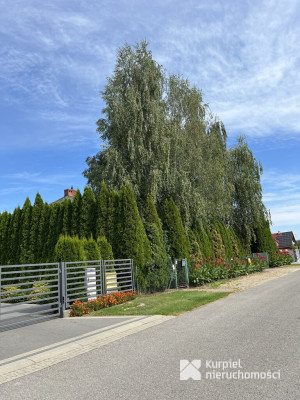 Dom na 9-arowej działce w centrum Przemyśla