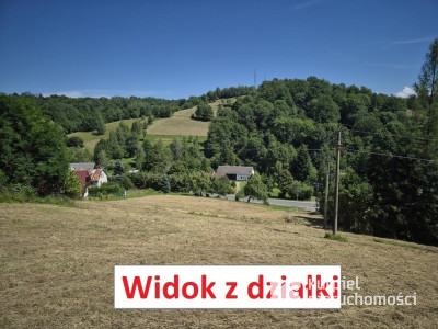 Widokowa działka w Bieszczadach niedaleko Soliny