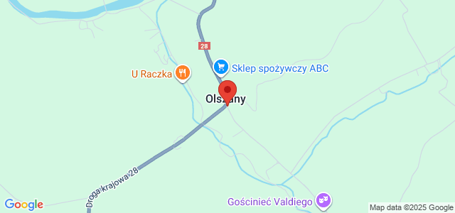 Domek letniskowy Olszany