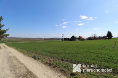 Hermanowice, działka siedliskowa