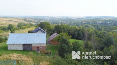 Na sprzedaż dom z dużą działką /Ujkowice/